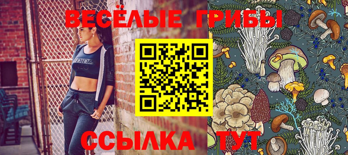 как найти   Вход с VPN  Бердск  Псилоцибиновые грибы MAGIC MUSHROOMS 